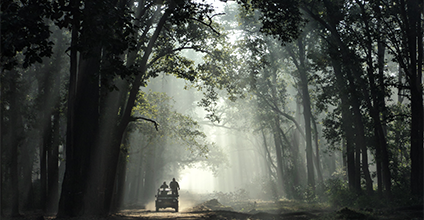 Safari TourPackages